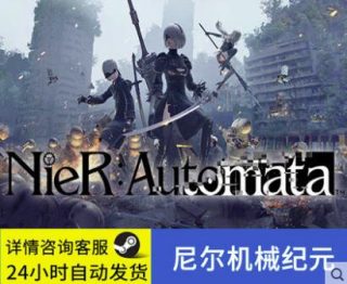 尼尔机械纪元标准版